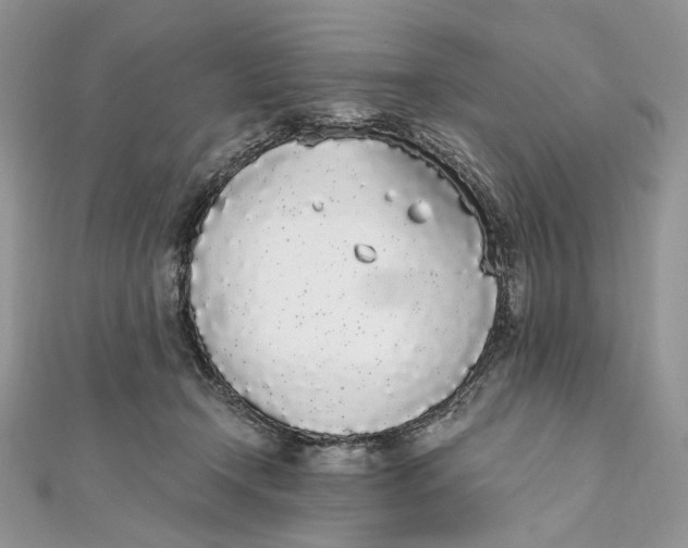 X0000111450366200908031418