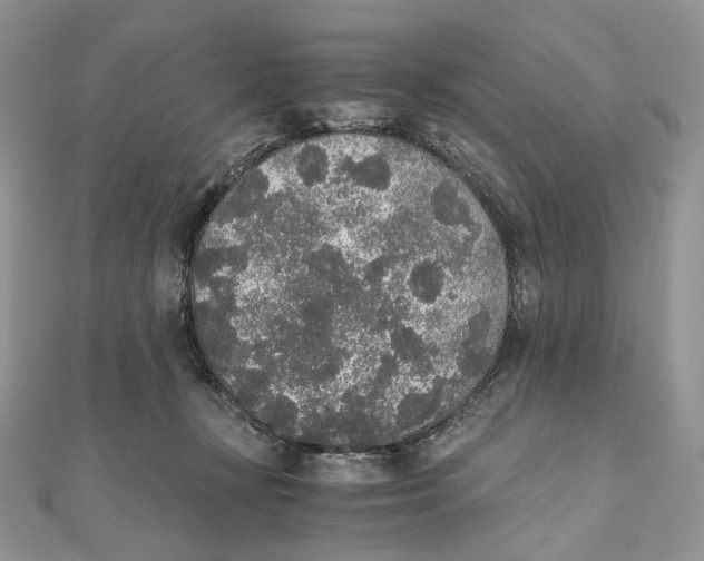 X0000111450367200908031418