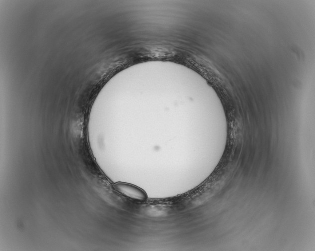 X0000111450368200908031418