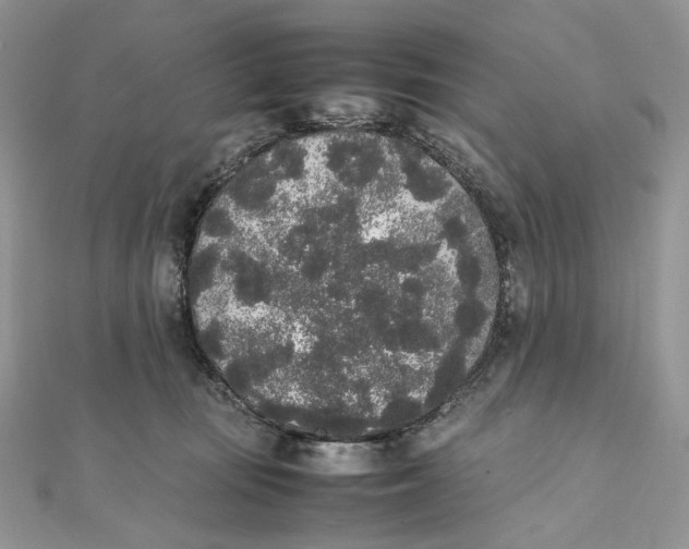 X0000111450371200908031418