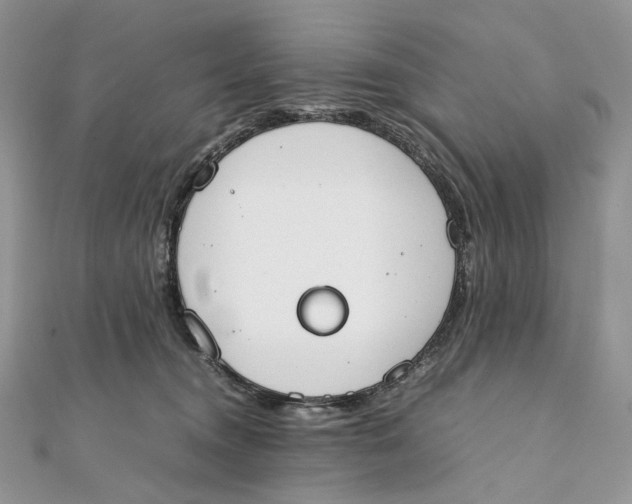X0000111450372200908031418
