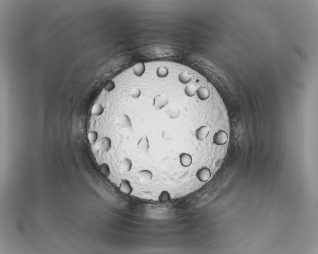 X0000111450373200908031418