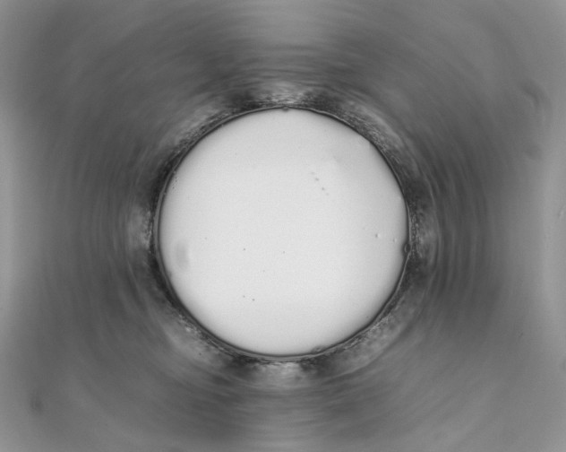 X0000111450374200908031418