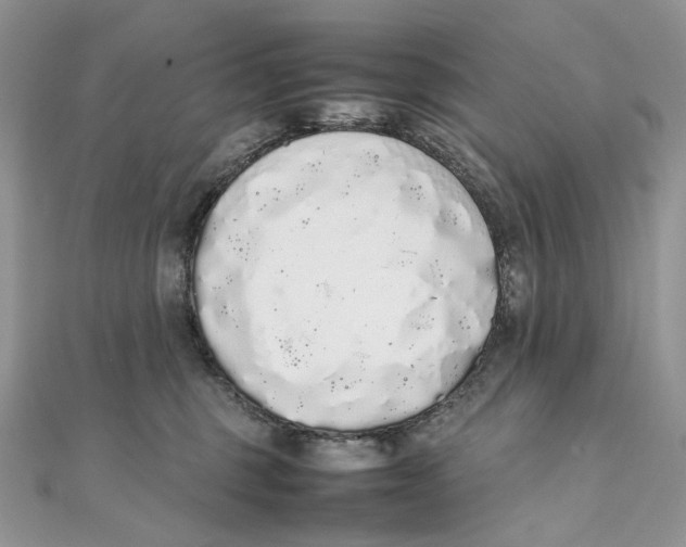 X0000111450375200908031419