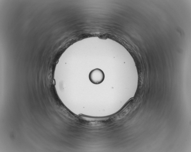 X0000111450376200908031419