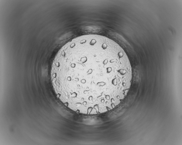 X0000111450377200908031419