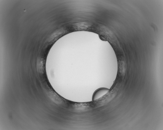 X0000111450378200908031419