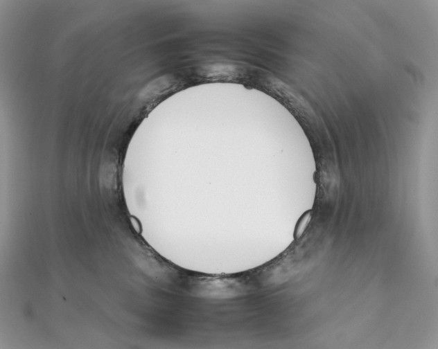 X0000111450379200908031419
