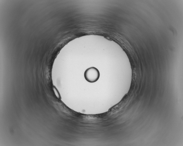 X0000111450380200908031419