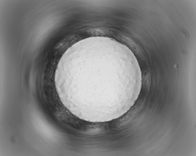 X0000111450381200908031419