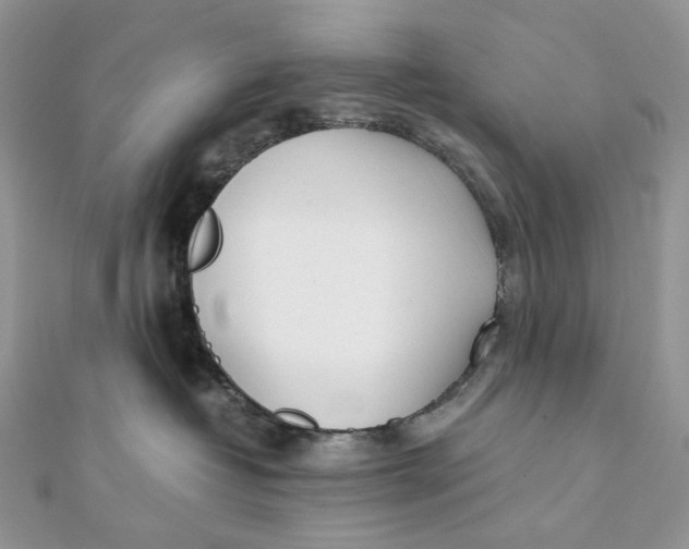 X0000111450382200908031419