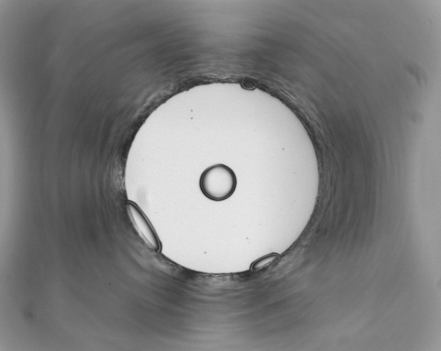 X0000111450384200908031419