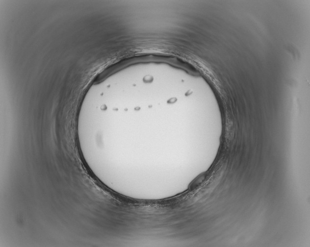 X0000111450385200908031418