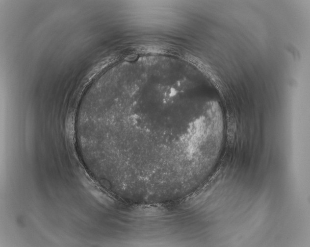 X0000111450386200908031418
