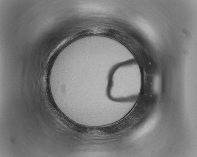 X0000111450387200908031418