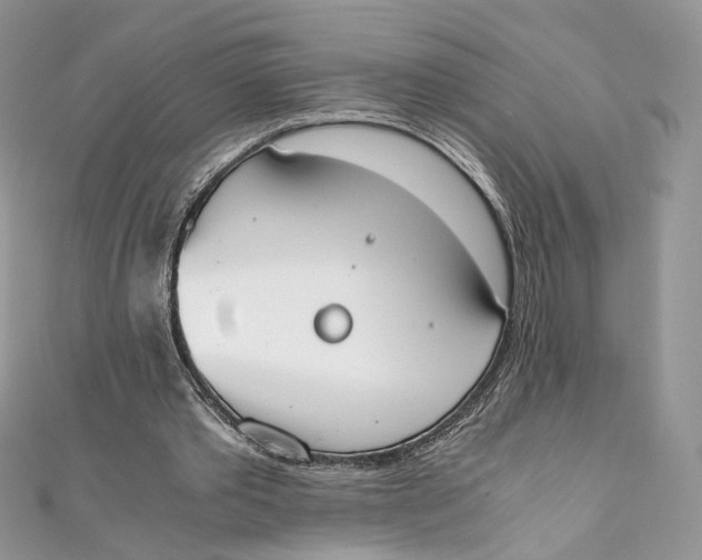 X0000111450389200908031418
