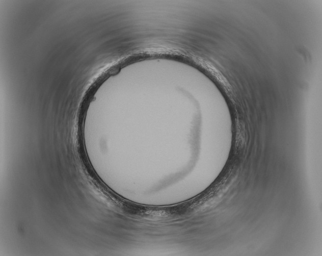 X0000111450391200908031418