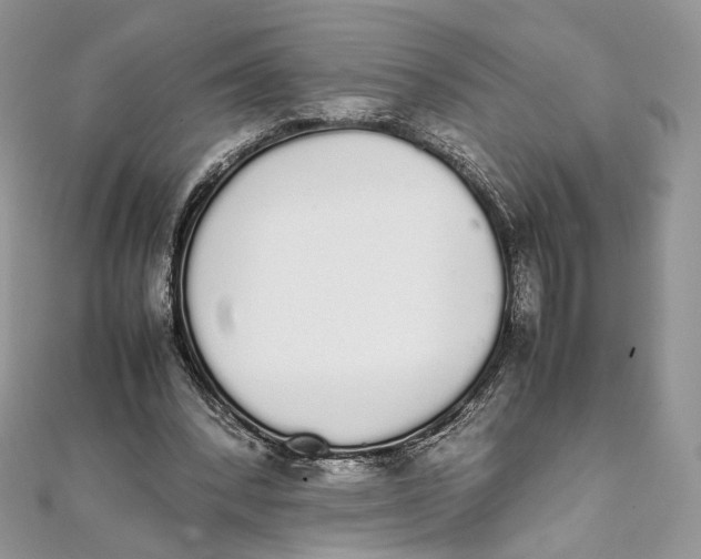 X0000111450392200908031418