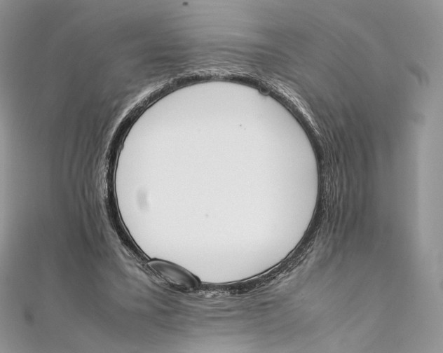 X0000111450395200908031418