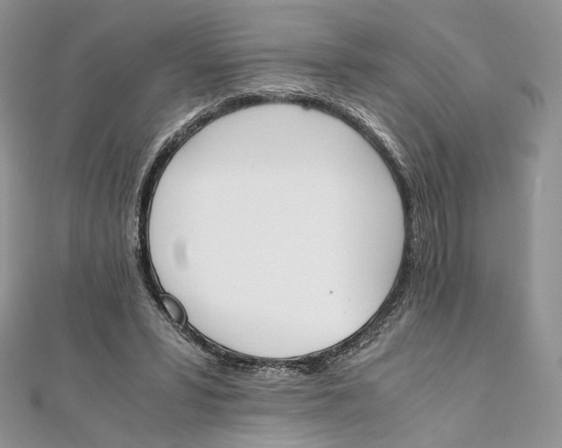 X0000111450399200908031418