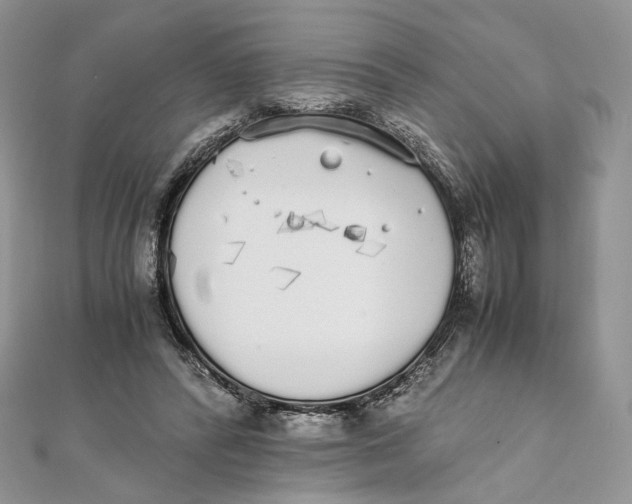 X0000111450400200908031418
