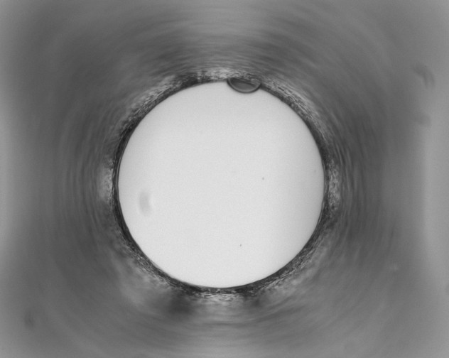 X0000111450401200908031418