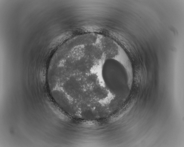 X0000111450402200908031418