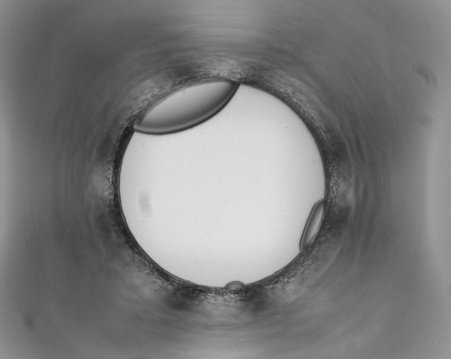 X0000111450403200908031418