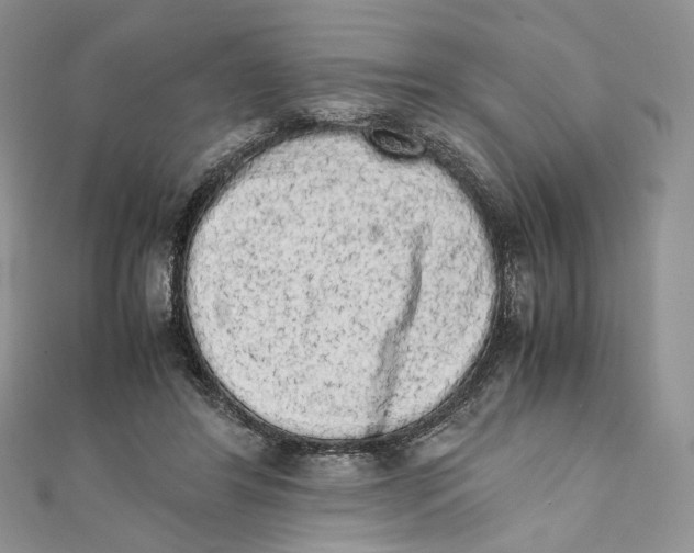 X0000111450404200908031418