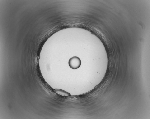 X0000111450405200908031418