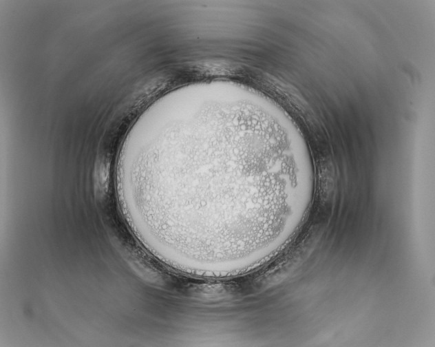 X0000111450406200908031418