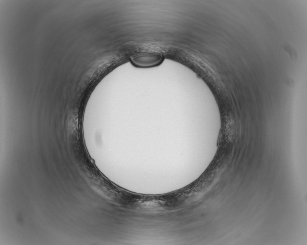 X0000111450407200908031418