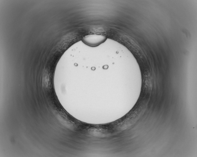 X0000111450408200908031418