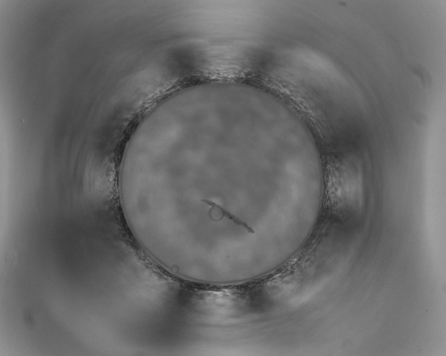 X0000111450411200908031418