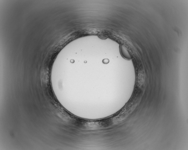 X0000111450413200908031418