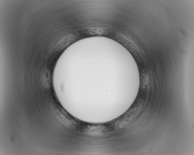 X0000111450414200908031418