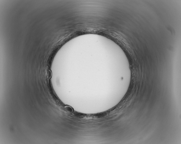 X0000111450415200908031418