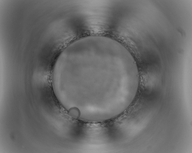 X0000111450419200908031418