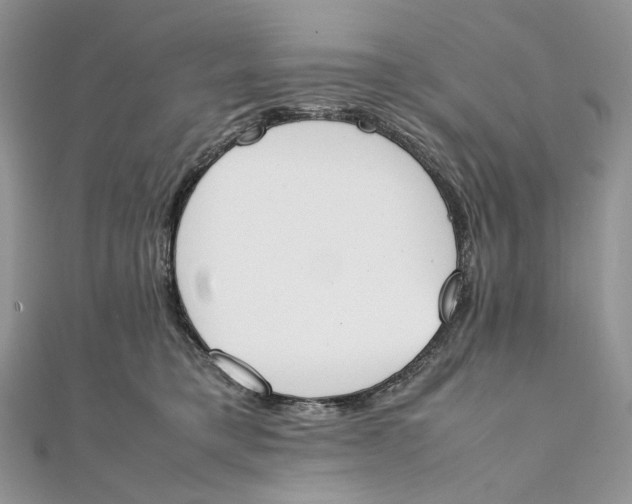 X0000111450421200908031418