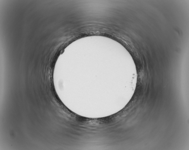 X0000111450423200908031418