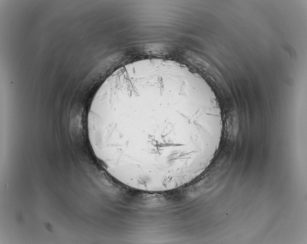 X0000111450424200908031417