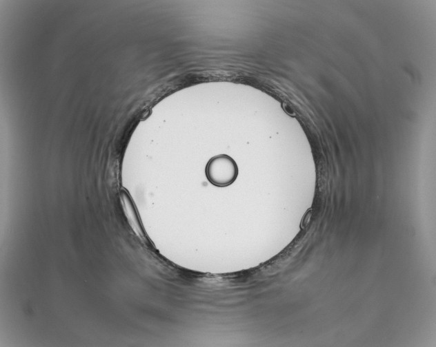 X0000111450425200908031417