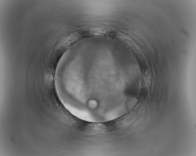 X0000111450427200908031417