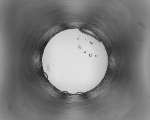 X0000111450428200908031417