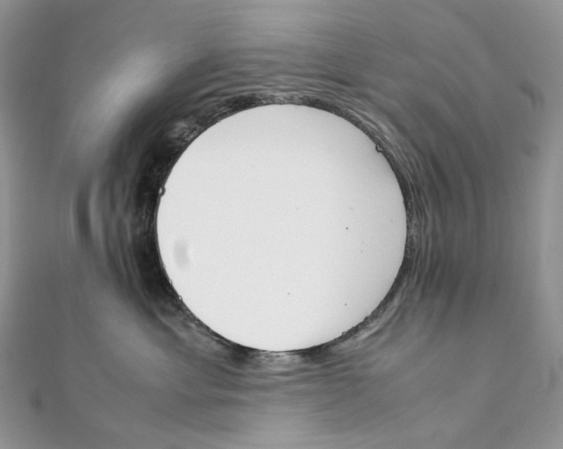 X0000111450429200908031417