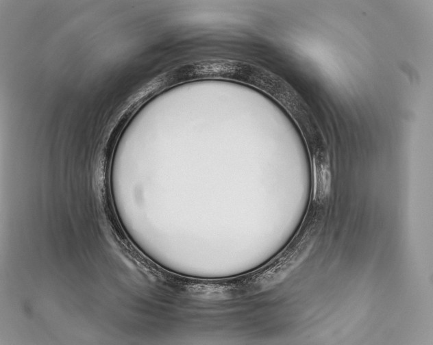 X0000111450435200908031417