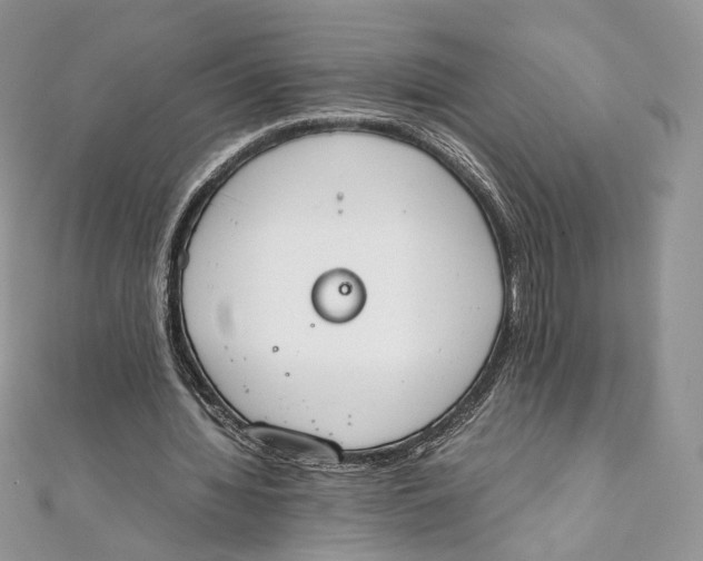 X0000111450436200908031417
