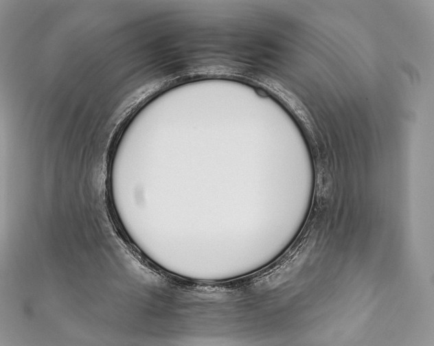 X0000111450437200908031417