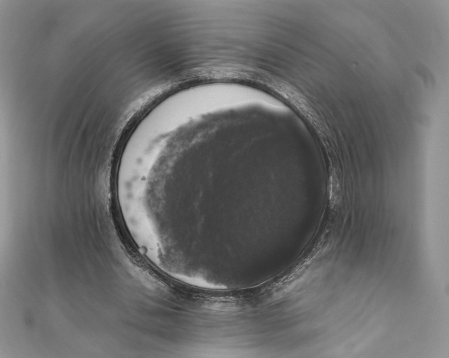 X0000111450438200908031417