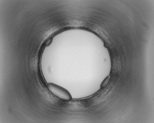 X0000111450440200908031417